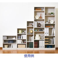 アイリスオーヤマ オープン本棚 スペースフィットラック 幅900×奥行290×高さ1800mm ウォールナット SFR1890 カラーボックス 1台（直送品）