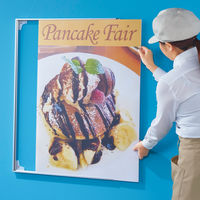 プラチナ万年筆　アケパネライト（低反射）シルバー　B1　5枚