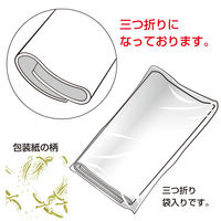 ササガワ 包装紙 飛翔 全判 49-2802 1袋(50枚入)