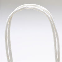 ササガワ 手提げバッグ 白無地 大 50-5300 1袋(50枚入)