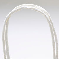 ササガワ 手提げバッグ 特小 白無地 50-5913 1袋（25枚入）