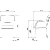 プラス 木製アメニティチェア2 ベージュ 1脚 介護 福祉用イス 医療 安定 PVCレザー 幅530mm 座面高420mm
