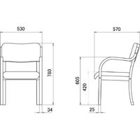 プラス 木製アメニティチェア2 ベージュ 1箱（3脚入）介護 福祉用イス 医療 安定 PVCレザー 幅530mm 座面高420mm