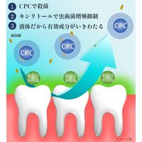 マウスウォッシュ 個包装 ロングスピンX ミント 13mL（1個あたり）ポーションタイプ 1パック（10個入） オキナ