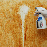 リビングクリーン300mL 1個 日本ミラコン産業