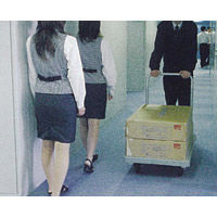 ワコーパレット 【車上渡し】 エアーキャスター台車 レディース 耐荷重150kg WL-150 1台（直送品）