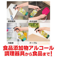 アルコール除菌剤ノロスター 業務用詰替 5L 1箱（4個入） ニイタカ