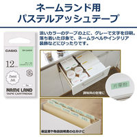 カシオ CASIO ネームランド テープ パステルタイプ 幅12mm ソフトグリーンラベル グレー文字 8m巻 XR-12ASGN