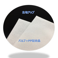 【不織布ウエス】 大王製紙 エリエールプロワイプストロングタオルE50ホワイトポリ包装50 1ケース（50枚入×18パック）