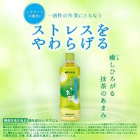【機能性表示食品】伊藤園 お抹茶入りおーいお茶 緑茶 600ml 1セット（6本） お茶 ペットボトル