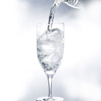 ポッカサッポロ ゲロルシュタイナー 500ml 1セット（48本）