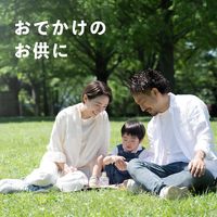 伊藤園 健康ミネラルむぎ茶 こどもむぎ茶（紙パック）125ml 1セット（72本）【麦茶】