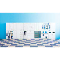 【組立設置込】イトーキ シンラインキャビネット 2列 ロッカー2人用 シリンダー錠 下置用 ホワイト 幅900×奥行450×高さ1098mm 1台( （直送品）