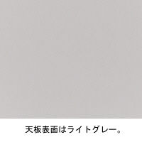 【軒先渡し】アスプルンド ESシリーズ ワーキングデスク 幅1200×奥行600mm 273457 （直送品）