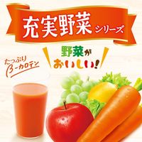 伊藤園 充実野菜 緑黄色野菜ミックス 紙パック 200ml 1セット（48本）エコパック 【野菜ジュース】