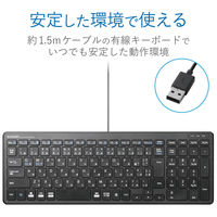 キーボード 有線 薄型 コンパクトサイズ パンタグラフ ブラック TK-FCP097BK 1個（直送品）