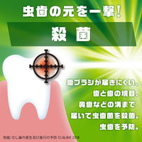 リステリン (LISTERINE) ムシバケア 1000ML 170826 1本  原因菌殺菌 薬用 虫歯予防