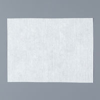 からだふき　ドライタオル【からだふき/ドライ】不織布ドライタオル　メッシュタイプ　レギュラーサイズ　1箱（100枚入×6パック）　昭和紙工 オリジナル