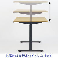 SEKI 電動昇降デスクHOP ホワイト天板/ブラック脚 幅1130×奥行700×高さ700～1145mm 1台（3梱包）（取寄品）