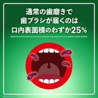 リステリン フレッシュミント 爽快 1000mL 1本 マウスウォッシュ 口臭対策 洗口液 医薬部外品