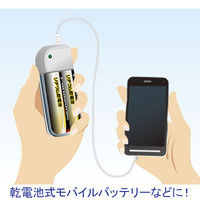 パナソニック リチウム乾電池単3/4B FR6HJ/4B 20本セット（4本入×5パック）