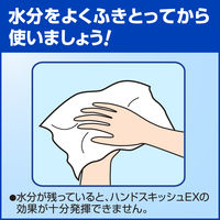 花王 ハンドスキッシュEX 手指消毒剤 4.5L 詰替用 507211 1箱（3本入）