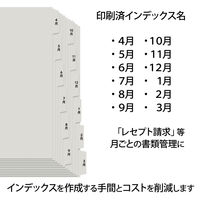 プラス レセプト用４～３月インデックス ６山×２ 98080 1袋(10組入) 事務用品 月別 A4 印刷済 ポリプロピレン製