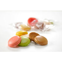 〈ダロワイヨ〉マカロンラスク（8枚入） 1箱 三越伊勢丹 紙袋付 手土産ギフト 母の日 父の日 敬老の日 お祝い