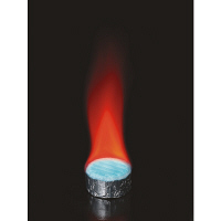 ニイタカ 固形燃料 カエン 25g 1パック（20個入）