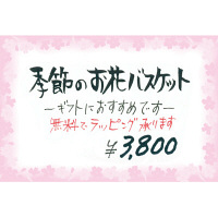 ササガワ カード 花枠 はがき判 16-1711 1セット(1冊(30枚)×5)