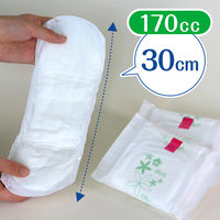 ポイズ 吸水ナプキン スーパー 170cc 24枚 お徳用 羽なし 30cm 肌ケア 吸水パッド 1パック（24枚）尿漏れ　軽失禁