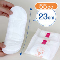 ポイズ 吸水ナプキン 軽快ライト 55cc 42枚 お徳用 羽なし 23cm 肌ケア 吸水パッド 1パック（42枚）尿漏れ