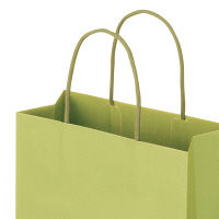 レザートーン手提袋　丸紐　グラスグリーン　M　1箱（300枚：10枚入×30袋）　スーパーバッグ  オリジナル