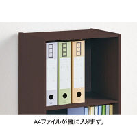 アイリスオーヤマ　カラーボックス(CBボックス)　3段　ブラウンオーク　A4ファイル対応　CX-3F(264883)　1台