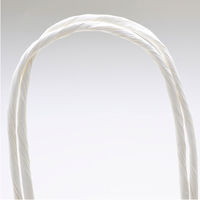 ササガワ 手提げバッグ 白無地 特大 50-6400 1袋(10枚入)