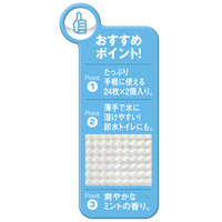 トイレクリーナー　小判・薄手タイプ　ミントの香り　1パック（24枚入×2個）