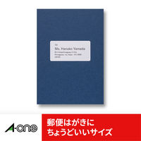 エーワン（A-one）ラベルシール ハイグレード 表示・宛名ラベル プリンタ兼用 封筒 シール  A4 24面 20シート  75324