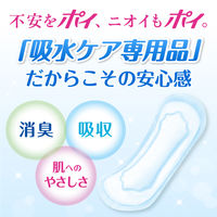 ポイズ 吸水ナプキン 安心の少量用 40cc 22枚 羽なし 23cm 吸水ライナー ギャザーなし無香料 1パック（22枚）尿漏れ