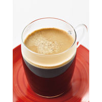 ネスカフェ ドルチェグスト専用カプセル モカブレンド 1箱（16杯分）