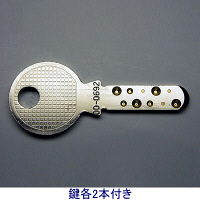 エーコー ダブルシリンダー耐火金庫(30分耐火) 21.6L ES-9-2KW 1台