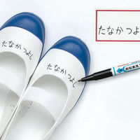 おなまえマッキーツイン 黒 10本 YYTS7-BK ゼブラ