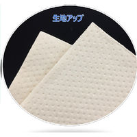 【ペーパーウエス】 大王製紙 エリエールプロワイプ ソフトタフタオル未晒 50枚 1セット（2400組：50組入×48束）