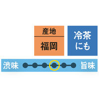 大井川茶園　八女上煎茶　1セット（100g×3袋）  オリジナル