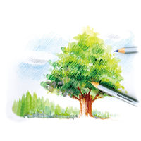 ステッドラー カラト水彩色鉛筆24色セット 125 M24 1箱