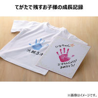 シャチハタ てがたスタンプセット ブルー HT-AS-B