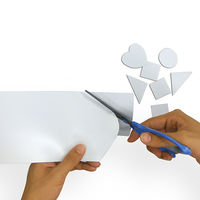 マグエックス マグネットカラーシートライト 白 MSCL-05 1パック（2枚入）