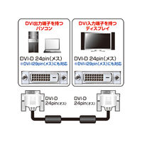 サンワサプライ DVIシングルリンクケーブル KC-DVI-3SL 1本