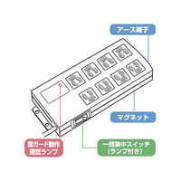 サンワサプライ ノイズフィルタタップ TAP-3803NFN 1個（直送品）