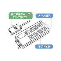 延長コード 電源タップ 2m 2P、3P（ピン） 9個口 スイッチ ライトグレー TAP-3804N サンワサプライ 1個