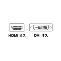 サンワサプライ HDMIーDVIケーブル KM-HD21-20K 1本